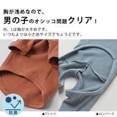 ドッグウェアの画像