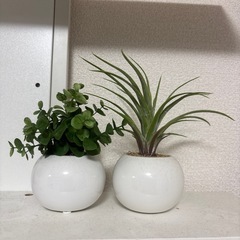 フェイクグリーン4点の画像