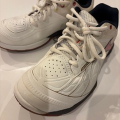 バドミントンシューズ　　ミズノ・アニメワンピースコラボ品✨の画像