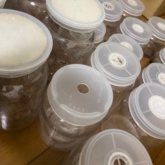 菌糸ボトルまとめの画像