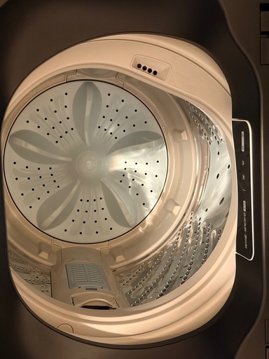 Hisense 洗濯機 5.5kg