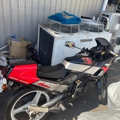 NS50F 89シードカラーの画像