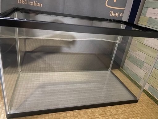60cmガラスケージ