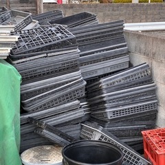 育苗トレーの画像