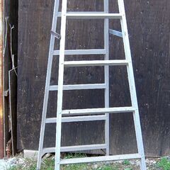折り畳み　梯子の画像