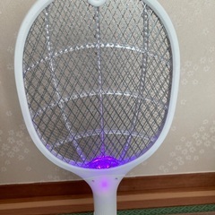 ハエ叩きネット・3層安全ネット付きの画像