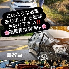 廃車高価買取‼️