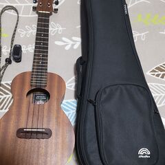 ウクレレ　aNueNue-B2の画像