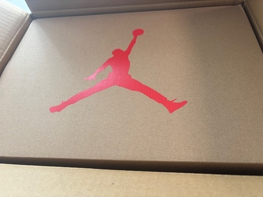 NIKE エアジョーダン6 サイズ28.5