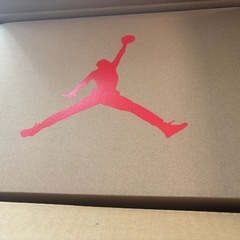 NIKE エアジョーダン6 サイズ28.5の画像