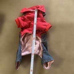 犬服　jinny dolls 赤とデニム オーバーオール風の画像