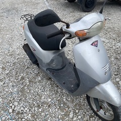 人気のホンダディオ！原付の画像