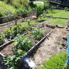 宿泊施設の畑を管理してくださる方を募集しています。の画像