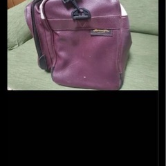 MIZUNO Pro ミズノ スポーツバッグ ボストンバッグ ワインレッド ホワイト　早い者勝ちの画像