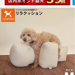 犬　介護　リラックション　Mサイズ　老犬介護の画像