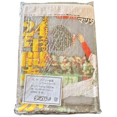 【新品未開封】デイリー紙面 レジャーシートの画像