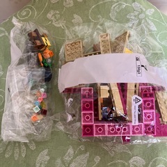 LEGO MINECRAFT    21247  ウーパールーパーの画像