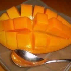 超美味◇キンコウマンゴーの苗木の画像