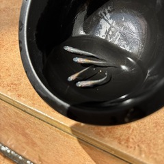 三色ラメメダカの画像