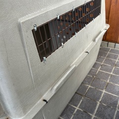 大型犬クレートの画像