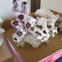 手作り石の画像