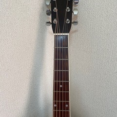 3/12本日までMorris MD-505の画像