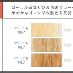 フィヨーレ クオルシア カラーシャンプー オレンジ 残量60mlくらいの画像