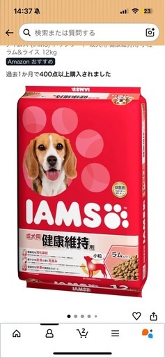 IAMS ラム&ライス ドッグフード 12kg