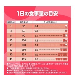 IAMS ラム&ライス ドッグフード 12kgの画像