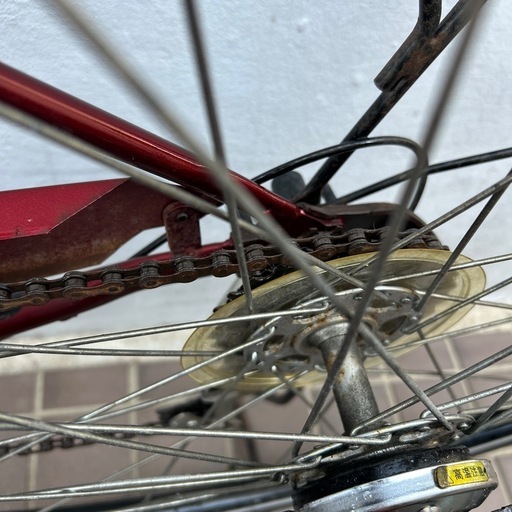 小中学生
カゴ付き自転車(ヘルメット付けます)  