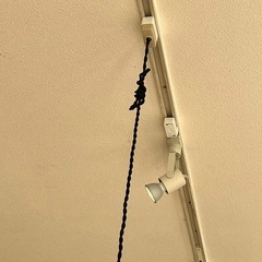 3/15迄★ 天然木（ブナ材）のシェードのペンダントライトの画像