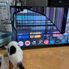50型テレビ不良品の画像