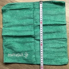 怪獣プラント　タオルハンカチ　アガベ　塊根植物の画像