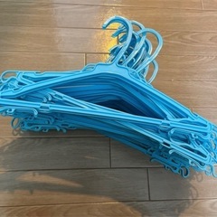 ハンガー29本の画像
