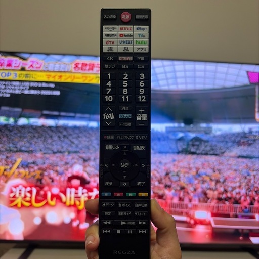 65型テレビ【REGZA】