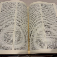 南山堂医学大辞典第19版の画像