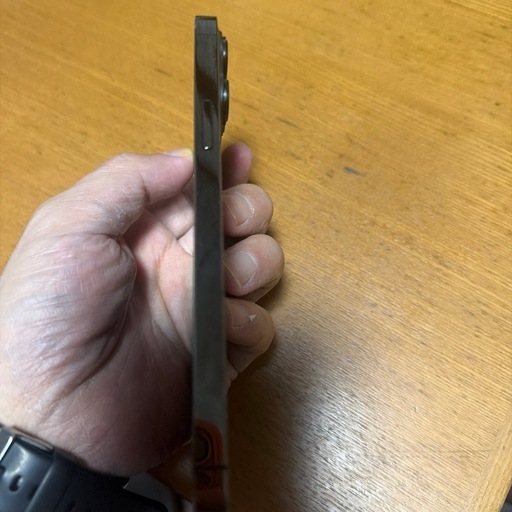 iPhone 13promax250
