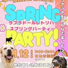 ラブラドールレトリバーオフ会