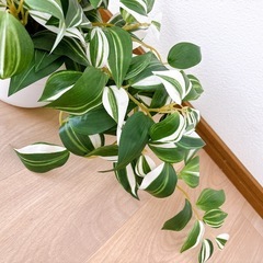 【兵庫県 伊丹市】IKEA フェイク 観葉植物の画像