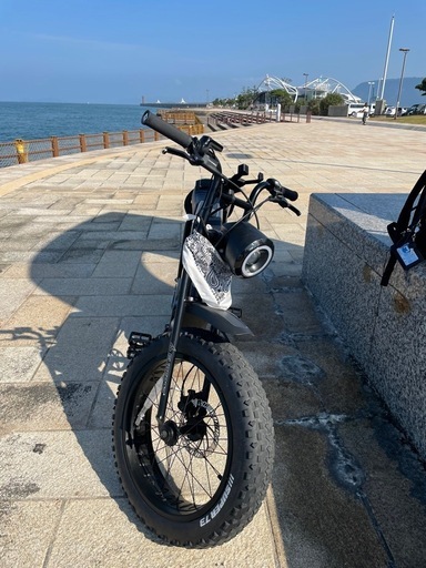 super73sg1 e-bike