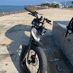 super73sg1 e-bikeの画像