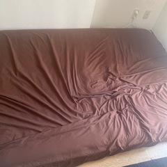 キングベットの画像