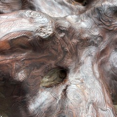 【中古品】値下げ　天然木　オブジェの画像