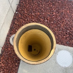 観葉植物　鉢の画像