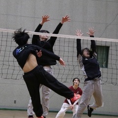 【残り5チーム🔥】男女混合バレーボール大会🏐参加チーム募集 - 横須賀市