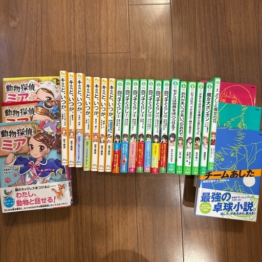 児童書22冊　動物探偵ミア・キミといつか・四つ子ぐらし・チームひとり等　22冊