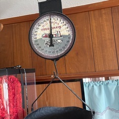 決まりました！
の画像