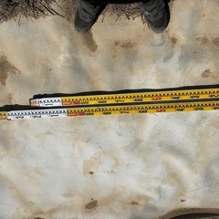 アルミスタッフ　3m-5m スケールの画像