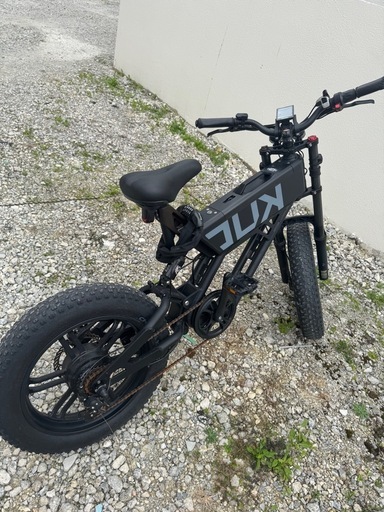 電動アシスト自転車