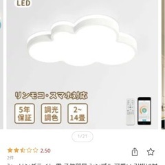 【ジャンク品】雲形ライトの画像